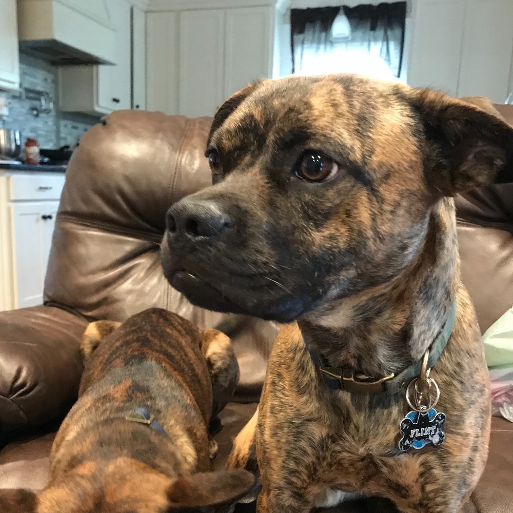 Meet your Posher, Dara